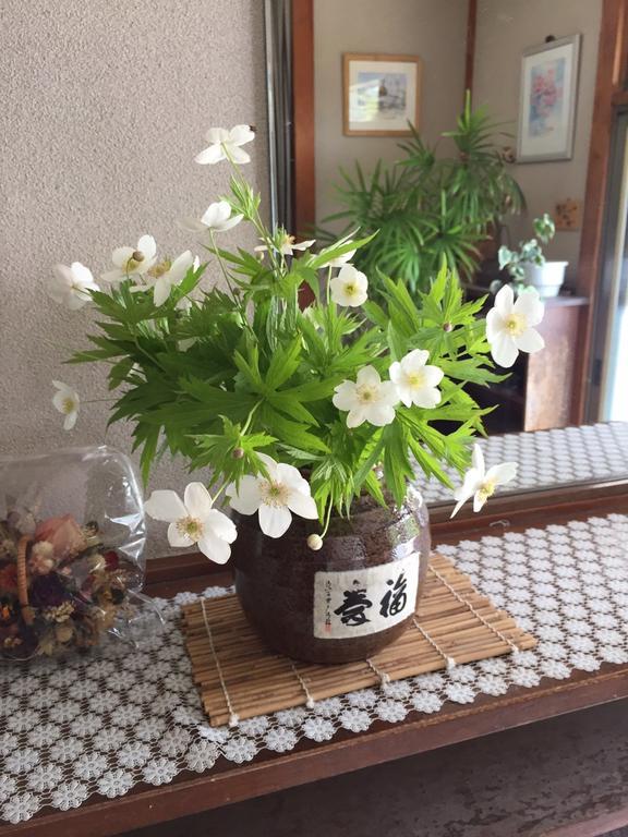 Momoya Lake Saiko Hotel Fujikawaguchiko Zewnętrze zdjęcie