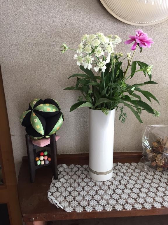 Momoya Lake Saiko Hotel Fujikawaguchiko Zewnętrze zdjęcie